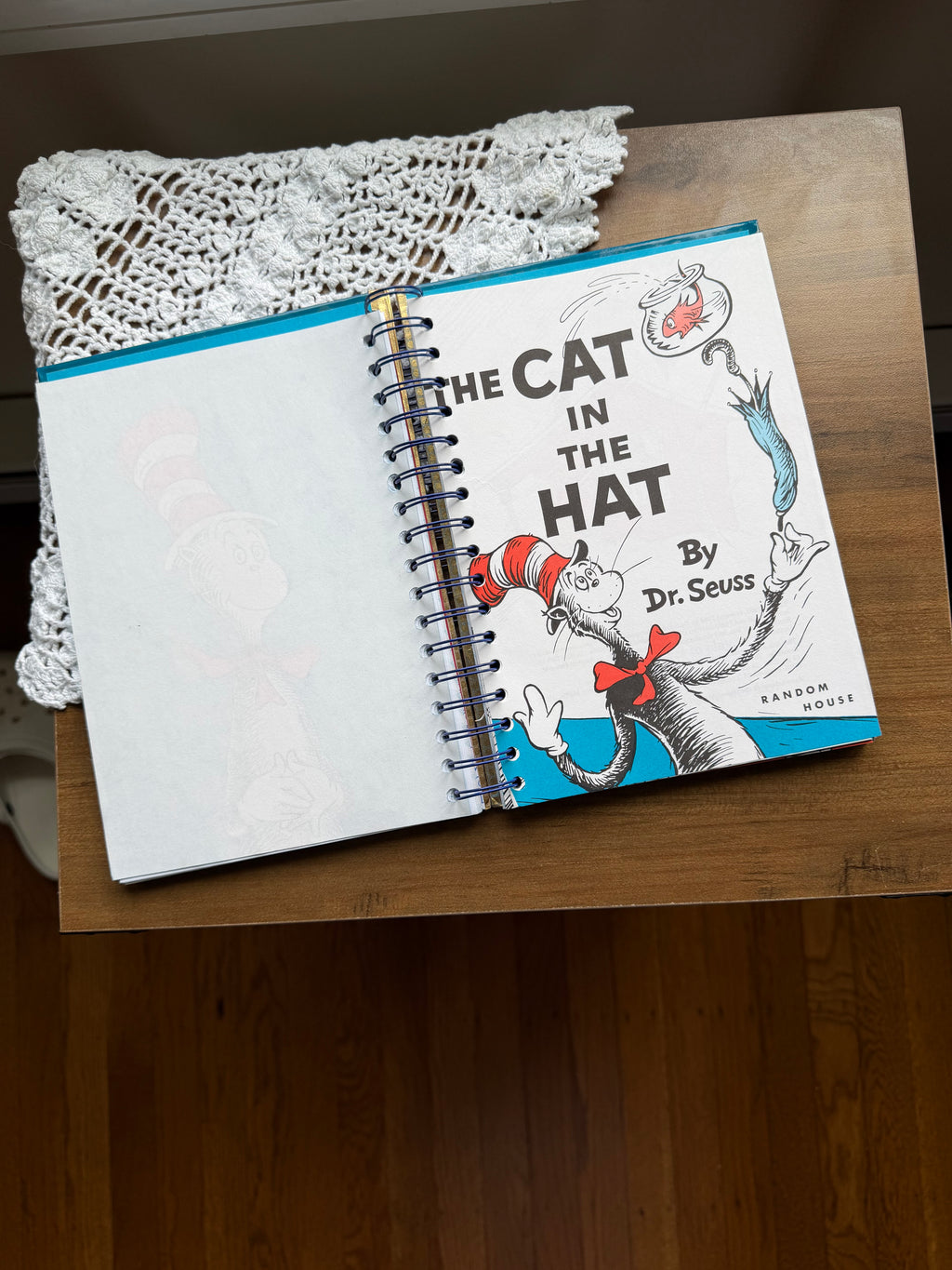 The Cat in the Hat Journal Notebook *Not a Little Golden Book