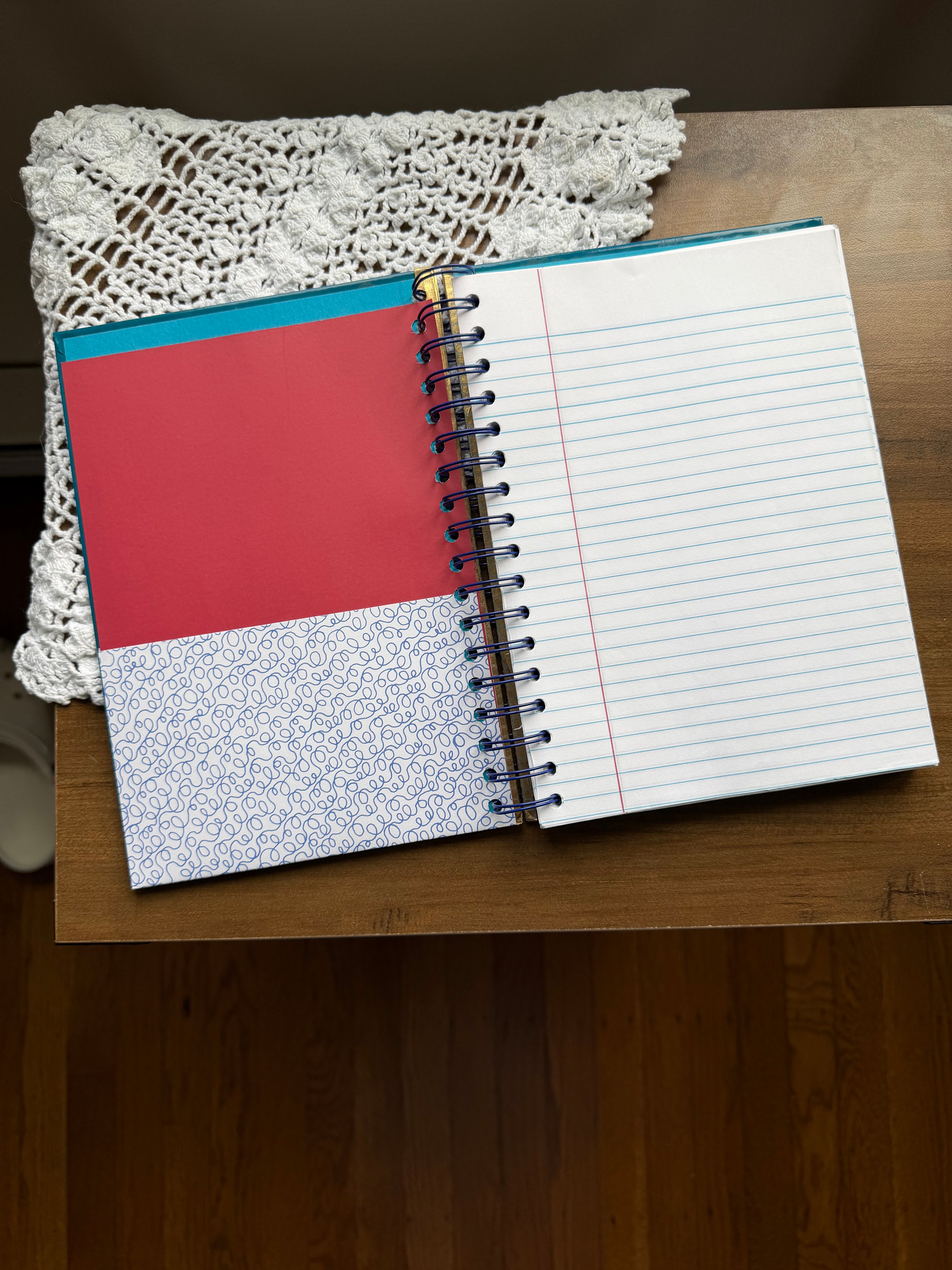 The Cat in the Hat Journal Notebook *Not a Little Golden Book