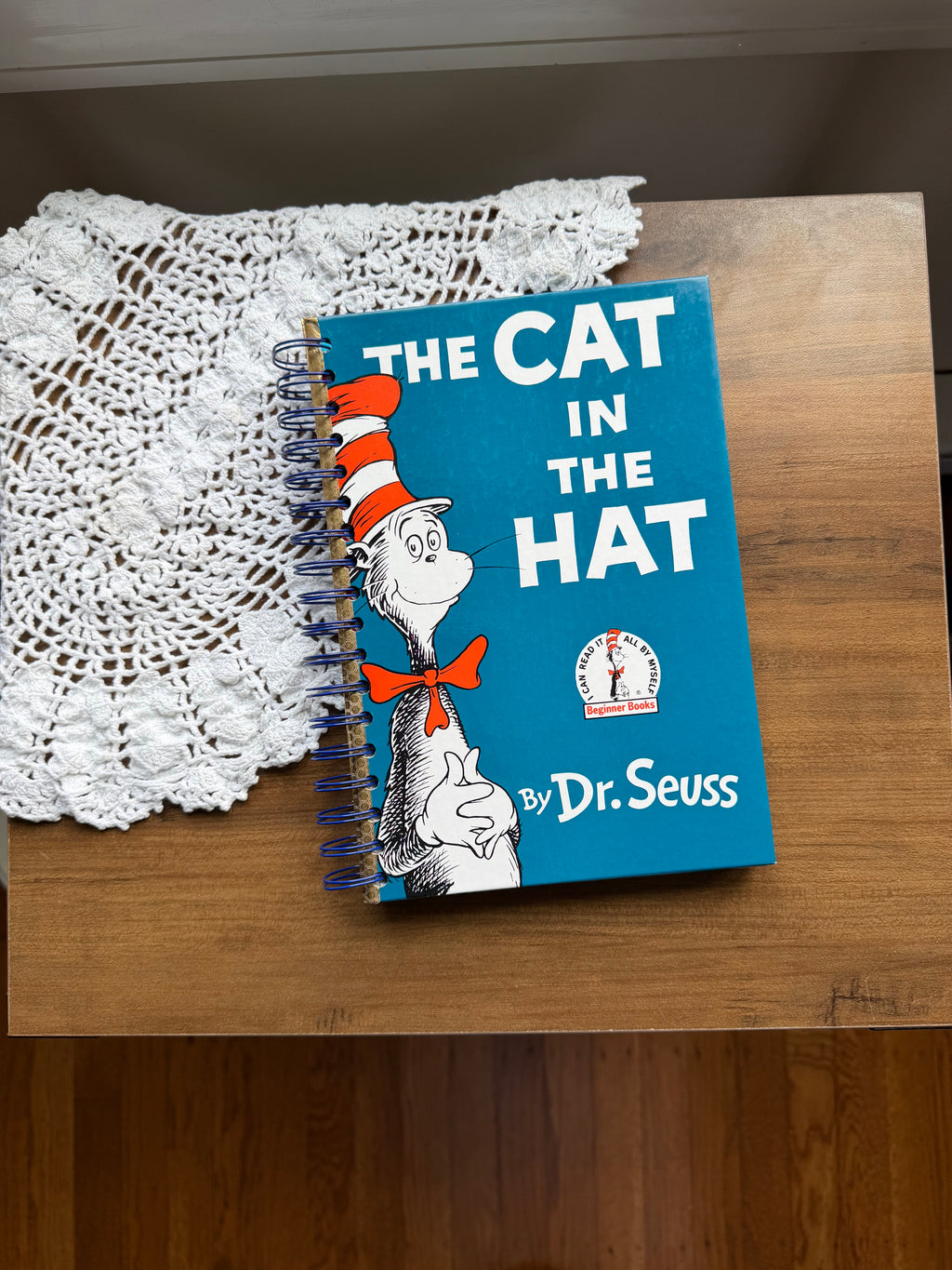 The Cat in the Hat Journal Notebook *Not a Little Golden Book